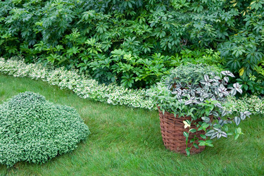 Similar image 1582247