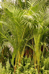 Similar image 1582250