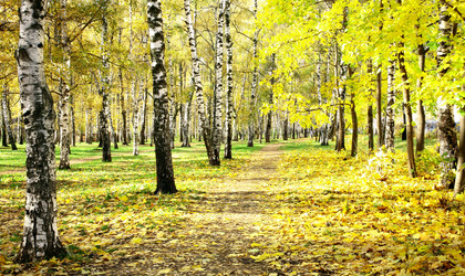 Similar image 1582268