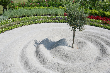 Similar image 1582270