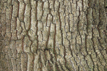 Similar image 1582476