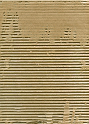 Similar image 1582496