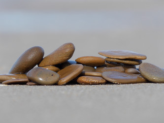 Similar image 1582728