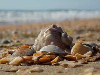 Similar image 1582730