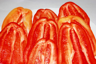 Similar image 1582953