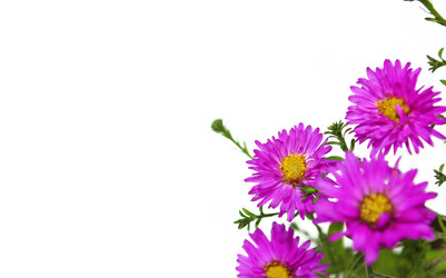 Similar image 1582957