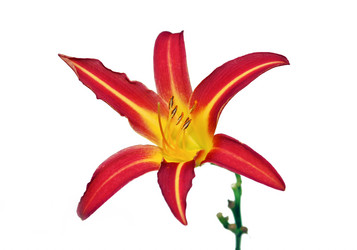 Similar image 1582958