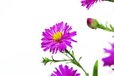 Similar image 1582959