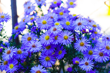 Similar image 1582974