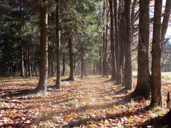 Similar image 1582977