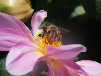 Similar image 1582979