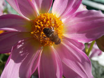 Similar image 1582980