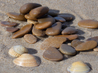 Similar image 1582982