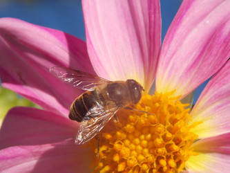 Similar image 1582983