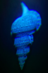 Similar image 1582997