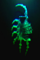 Similar image 1582998