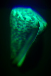 Similar image 1582999