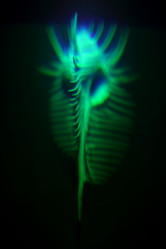 Similar image 1583000