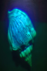 Similar image 1583001