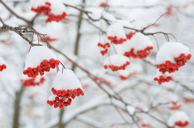 Similar image 1583091