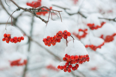 Similar image 1583092