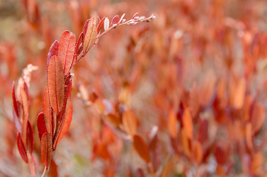 Similar image 1583093