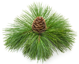 Similar image 1583094