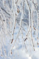 Similar image 1583095