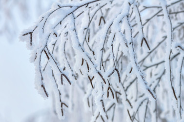 Similar image 1583096