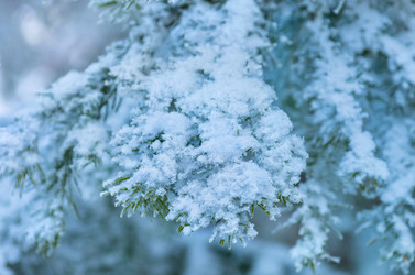 Similar image 1583097