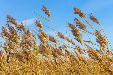 Similar image 1583098