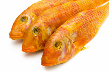 Similar image 1583100