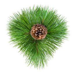 Similar image 1583102