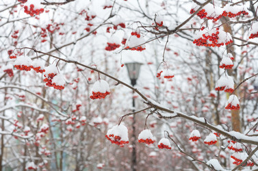 Similar image 1583103