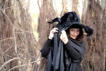 Similar image 1583221