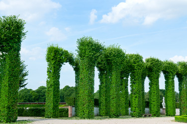 Similar image 1583282