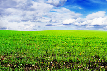 Similar image 1583308