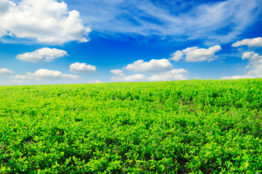 Similar image 1583314