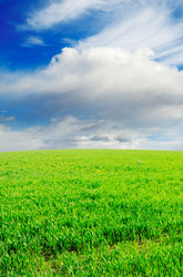 Similar image 1583346