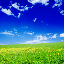 Similar image 1583349