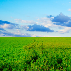 Similar image 1583358