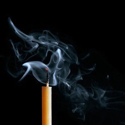 Similar image 1583359