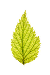 Similar image 1583360