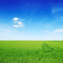 Similar image 1583366