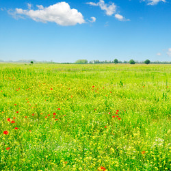 Similar image 1583372