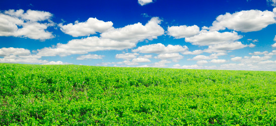 Similar image 1583377