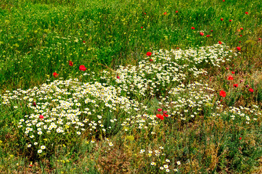 Similar image 1583378