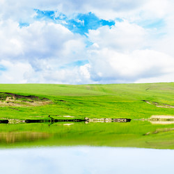 Similar image 1583391