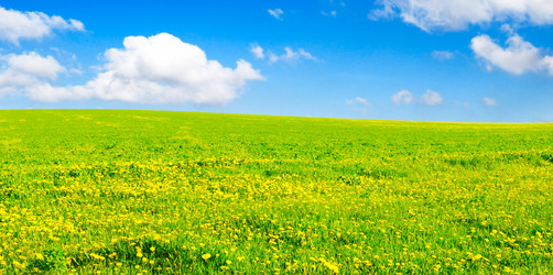 Similar image 1583395