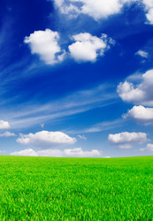 Similar image 1583403